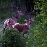 Lejlighed Barkoca Es Szepkilatas Vendeghaz /