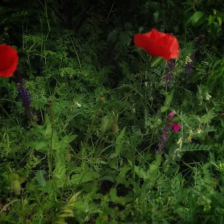 Appartamento Barkóca és Szépkilátás / *