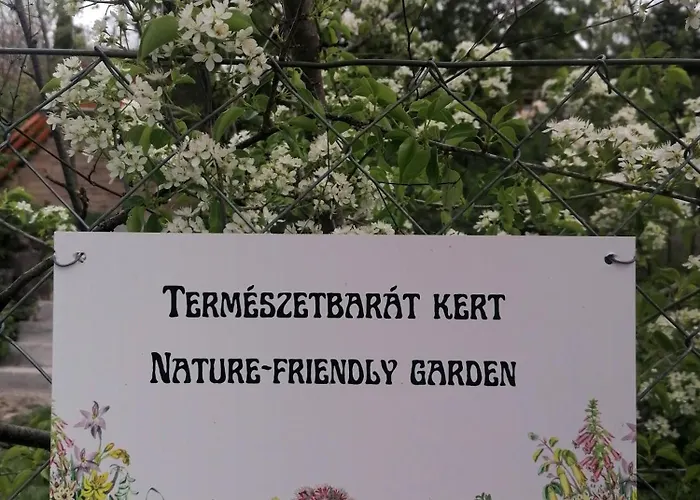 Barkoca Es Szepkilatas Vendeghaz / Verőcemaros