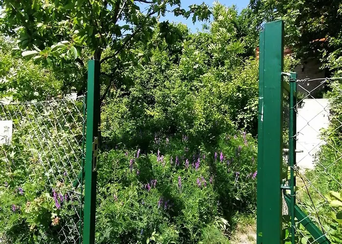 Barkoca Es Szepkilatas Vendeghaz / *
